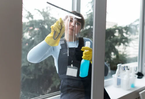 Nettoyage de vitres intérieures et extérieures à Mazeuil